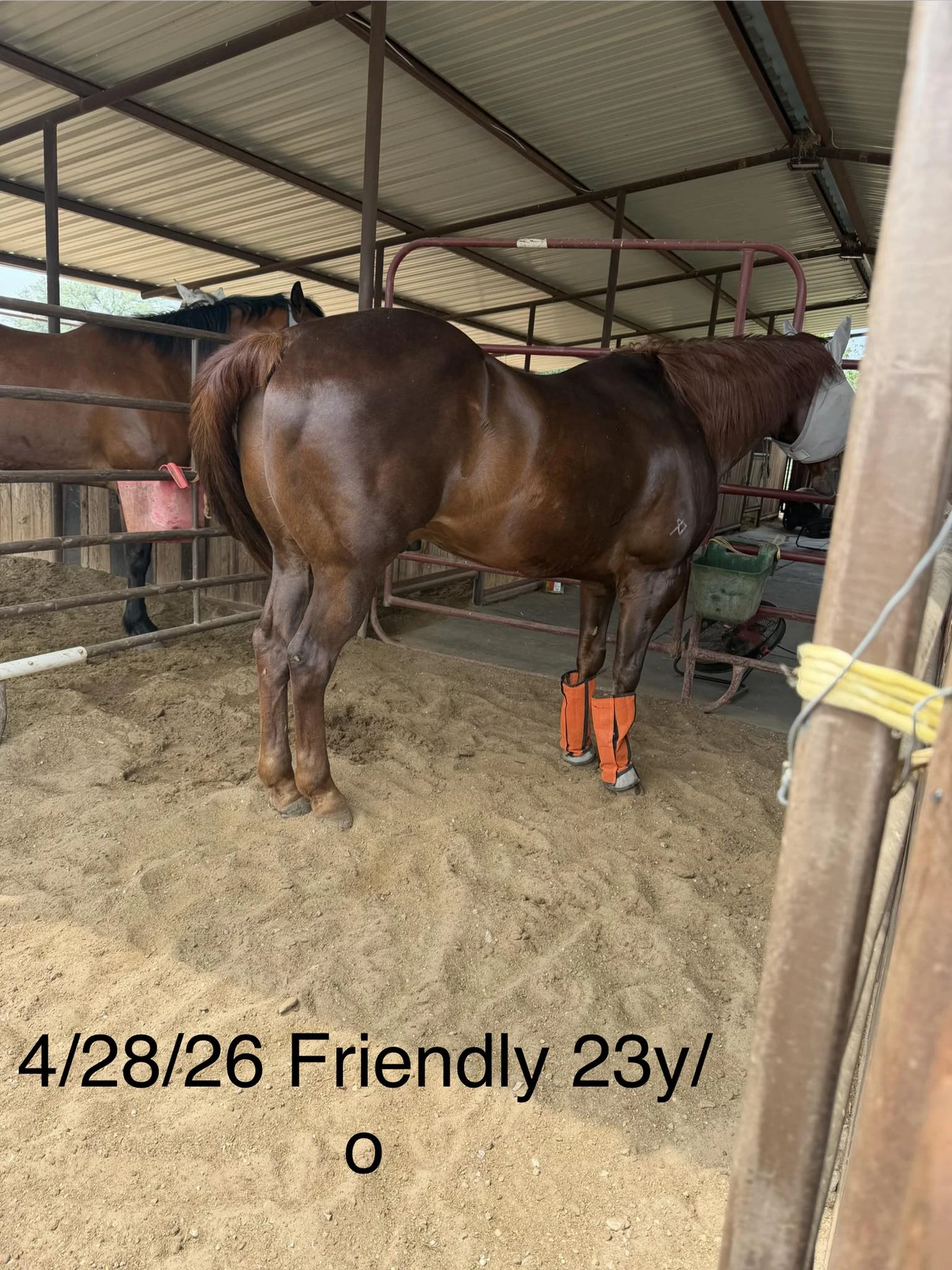 Friendly photo